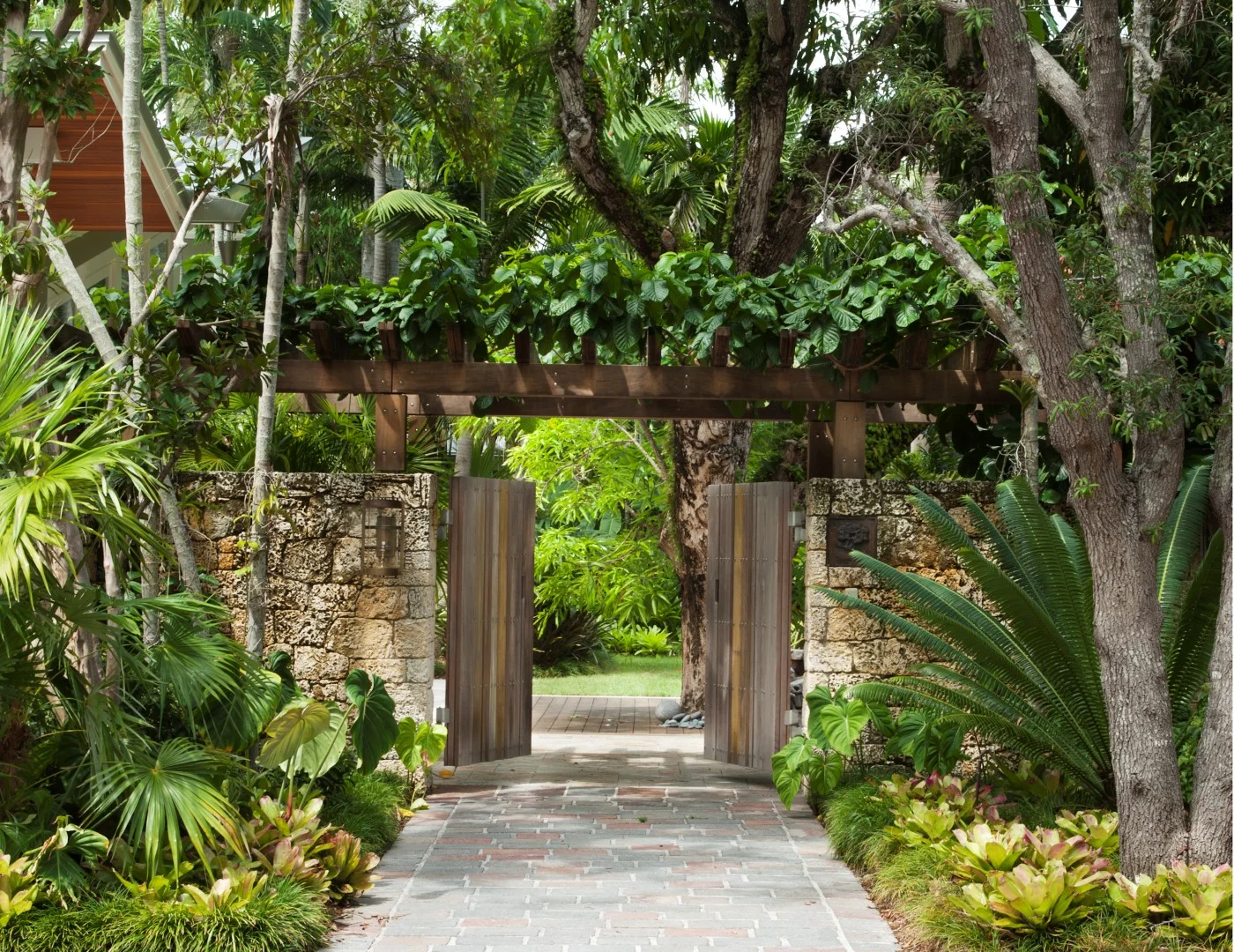 Coconut Grove Garden — Plant Creations